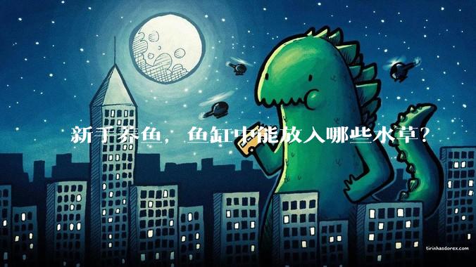 新手养鱼，鱼缸中能放入哪些水草？